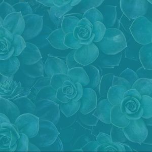 Meet your Posher, Ruby